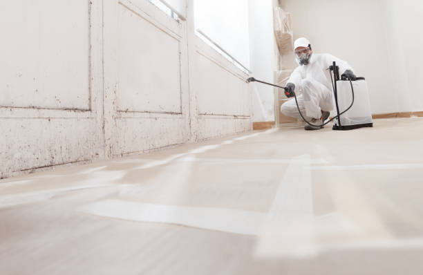 24/7 Emergency Crawl Space Mold Remediation experts in Wakefield, VA