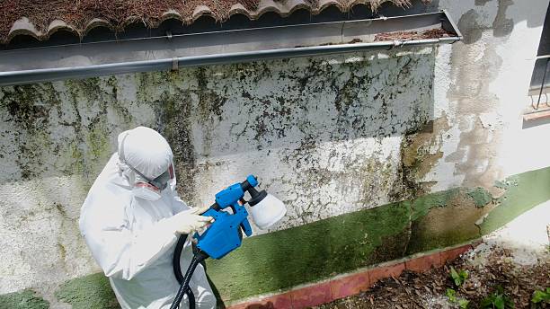 Top rated local Crawl Space Mold Remediation specialists in Wakefield, VA